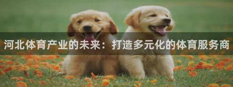 凯捷体育平台：河北体育产业的未来：打造多元化的体育服