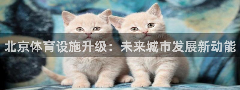 凯捷体育娱乐：北京体育设施升级：未来城市发展新动能