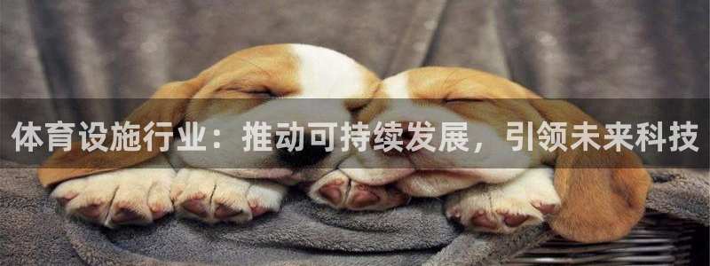 凯捷体育科技：体育设施行业：推动可持续发展，引领未来