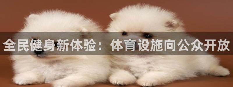凯捷体育联系电话：全民健身新体验：体育设施向公众开放