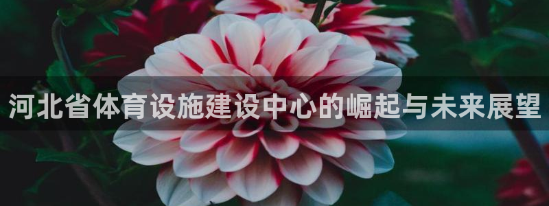 德国凯捷体育集团：河北省体育设施建设中心的崛起与未来