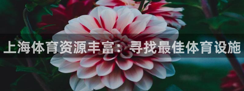凯捷体育娱乐是那个系列的台子：上海体育资源丰富：寻找