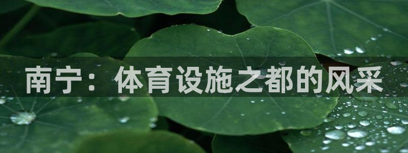 凯捷体育平台是正规平台吗：南宁：体育设施之都的风采