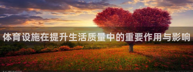 凯捷体育平台注册流程图：体育设施在提升生活质量中的重