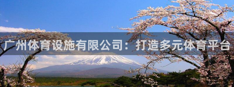 凯捷体育娱乐：广州体育设施有限公司：打造多元体育平台