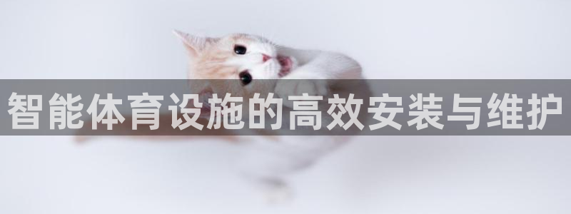 凯捷体育娱乐：智能体育设施的高效安装与维护