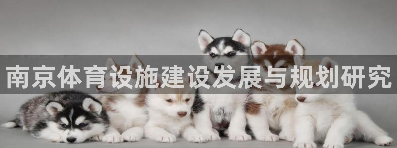 凯捷体育官方客服电话：南京体育设施建设发展与规划研究