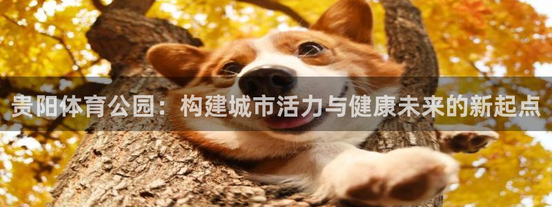 凯捷体育平台是正规平台吗安全吗：贵阳体育公园：构建城