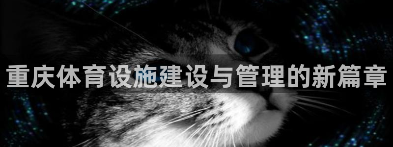 凯捷体育娱乐是那个系列的台子：重庆体育设施建设与管理