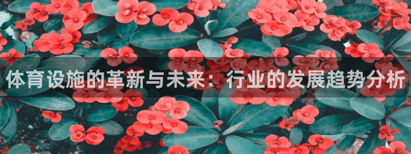 凯捷体育招商电话地址：体育设施的革新与未来：行业的发