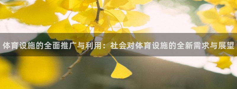 凯捷体育娱乐：体育设施的全面推广与利用：社会对体育设