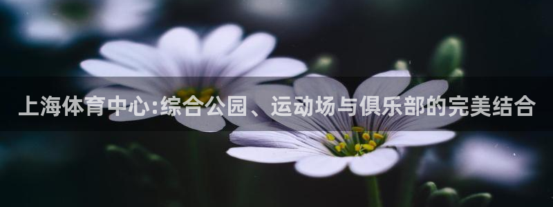 凯捷体育招商电话号码查询：上海体育中心:综合公园、运