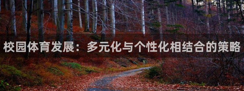 凯捷平台体育：校园体育发展：多元化与个性化相结合的策