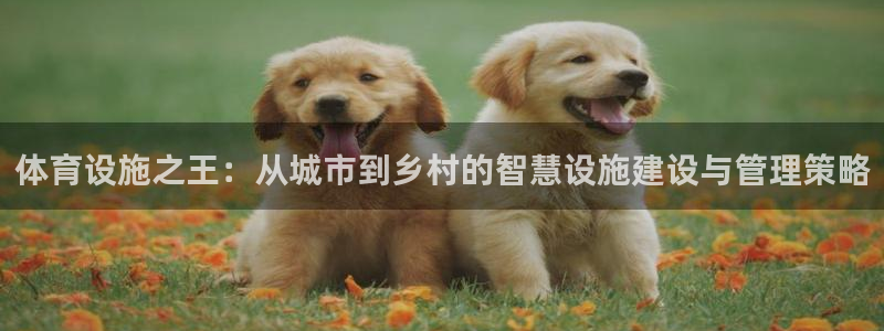 凯捷体育招商电话是多少啊：体育设施之王：从城市到乡村