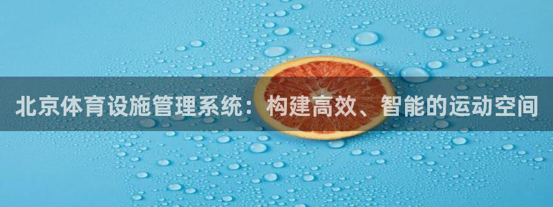 凯捷体育集团logo：北京体育设施管理系统：构建高效