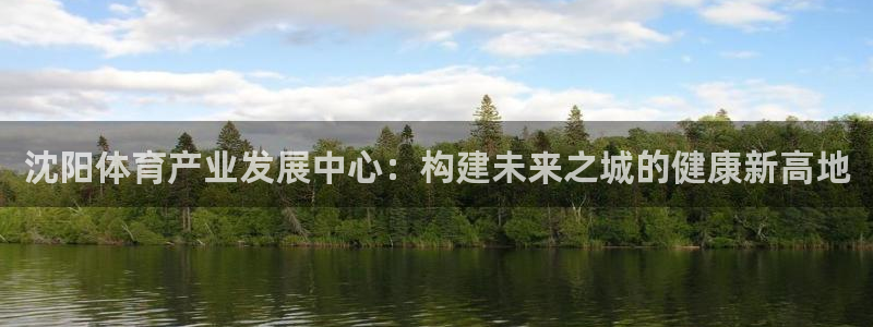 凯捷体育官方：沈阳体育产业发展中心：构建未来之城的健