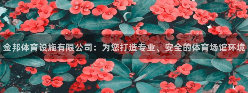 海南凯捷体育发展怎么样：金邦体育设施有限公司：为您打