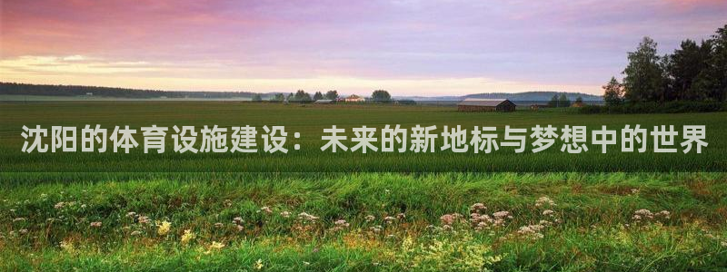 凯捷平台体育：沈阳的体育设施建设：未来的新地标与梦想