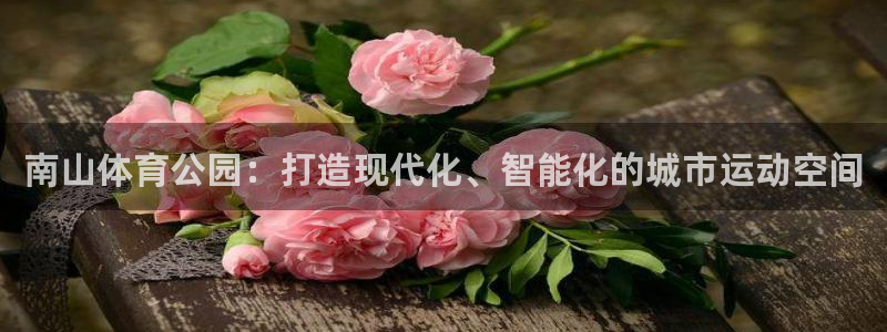 凯捷体育神州：南山体育公园：打造现代化、智能化的城市运动空间