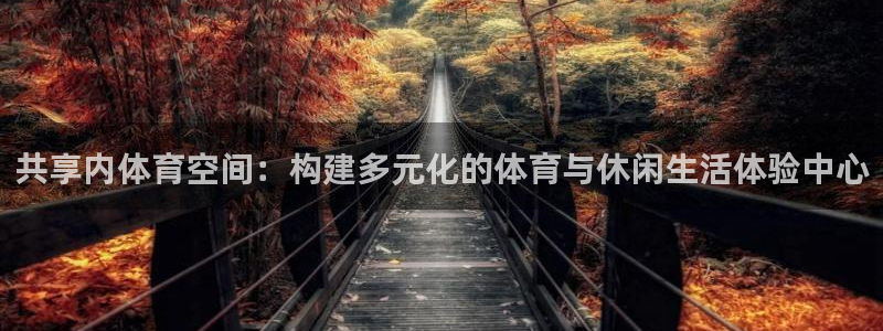 凯捷体育娱乐40996：共享内体育空间：构建多元化的体育与休 