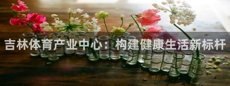 海南凯捷体育：吉林体育产业中心：构建健康生活新标杆