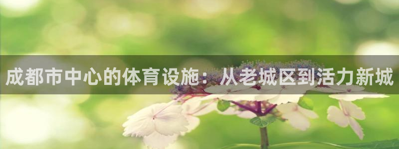凯捷体育代理：成都市中心的体育设施：从老城区到活力新城