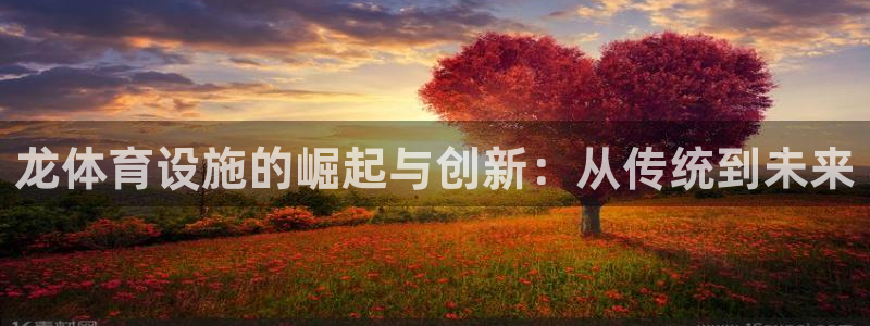 凯捷体育招商电话：龙体育设施的崛起与创新：从传统到未来 