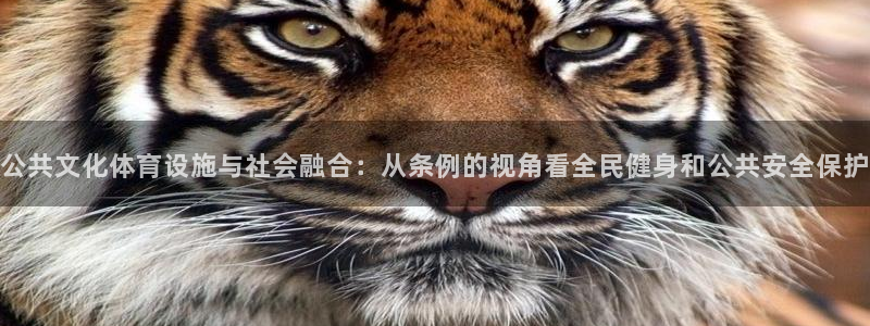 凯捷体育平台是正规平台吗安全吗：公共文化体育设施与社会融合：