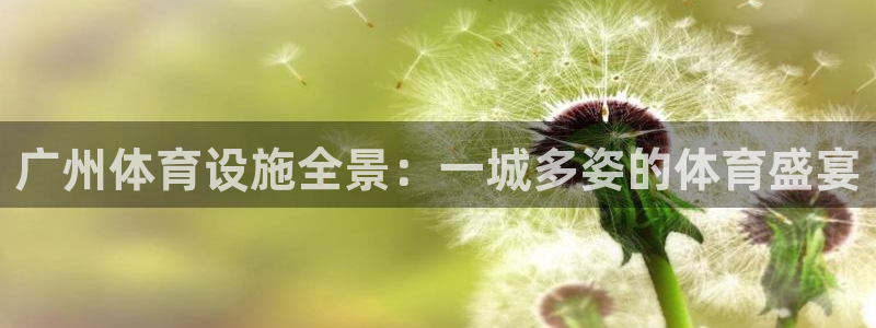 凯捷体育平台是正规平台吗：广州体育设施全景：一城多姿的体育盛