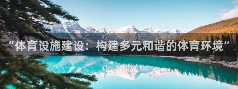 凯捷平台体育：“体育设施建设：构建多元和谐的体育环境”