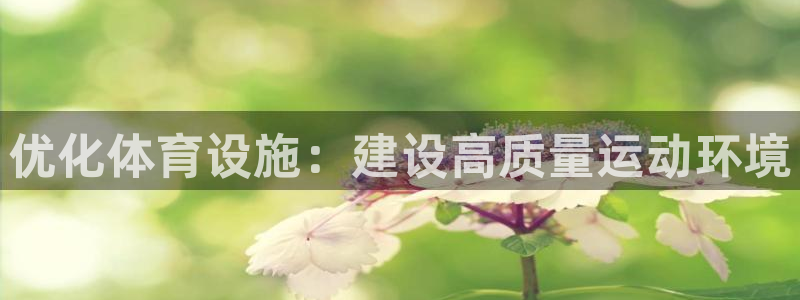 凯捷体育娱乐40996：优化体育设施：建设高质量运动环境