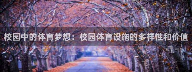 凯捷体育平台假的吗是真的吗吗：校园中的体育梦想：校园体育设施