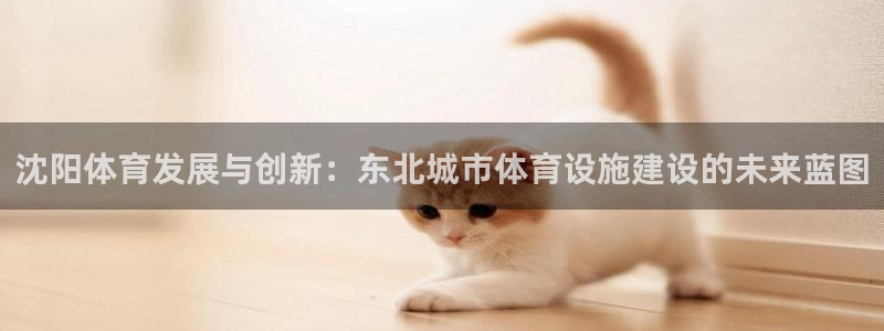凯捷体育招商电话是多少啊：沈阳体育发展与创新：东北城