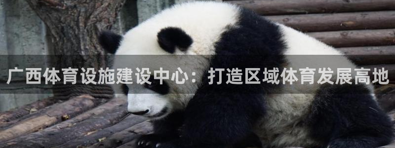 凯捷体育娱乐是那个系列的台子：广西体育设施建设中心：