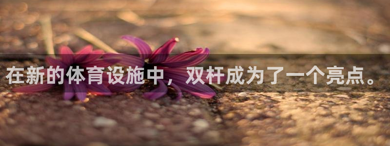 凯捷体育：在新的体育设施中，双杆成为了一个亮点。