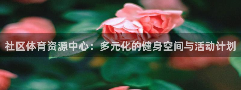 凯捷体育招商电话是多少啊：社区体育资源中心：多元化的