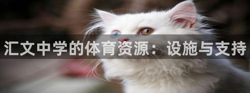 凯捷体育平台假的吗是真的吗吗：汇文中学的体育资源：设