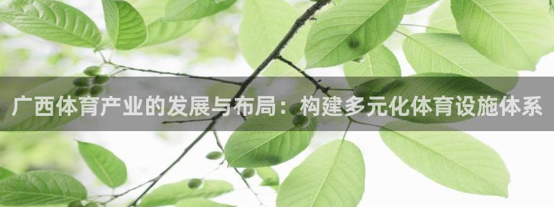 凯捷体育娱乐40996：广西体育产业的发展与布局：构