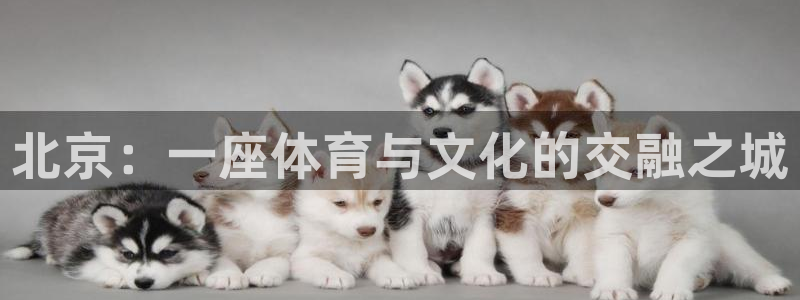 凯捷体育招商电话号码：北京：一座体育与文化的交融之城