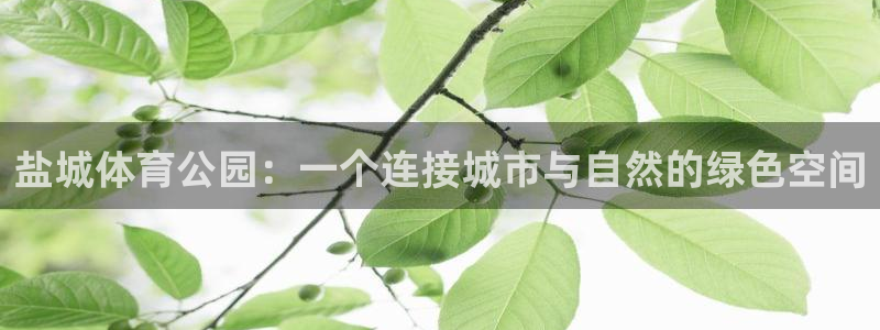 凯捷体育娱乐下载：盐城体育公园：一个连接城市与自然的