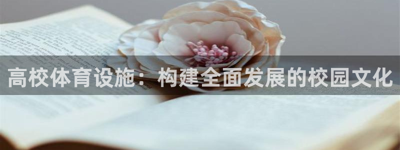 凯捷体育平台：高校体育设施：构建全面发展的校园文化