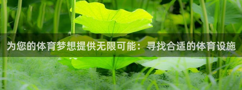 凯捷体育官方：为您的体育梦想提供无限可能：寻找合适的
