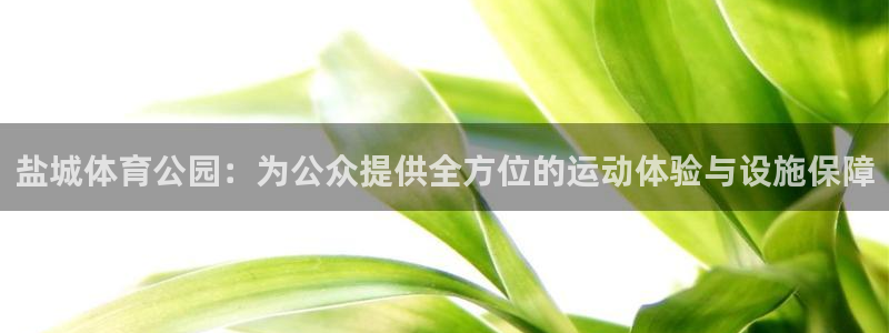 凯捷体育平台注册要钱吗安全吗：盐城体育公园：为公众提