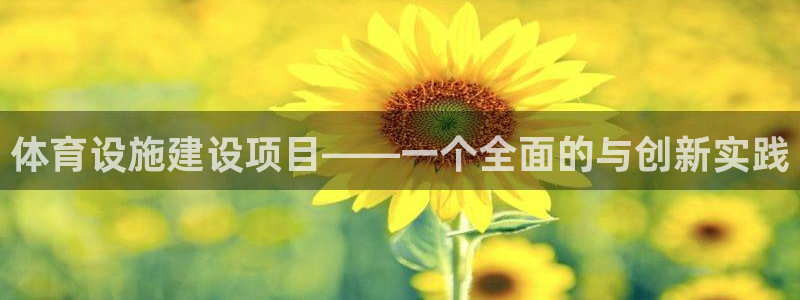 凯捷体育集团logo：体育设施建设项目——一个全面的