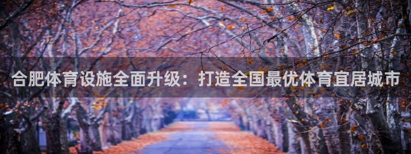 凯捷体育娱乐平台：合肥体育设施全面升级：打造全国最优体育宜居