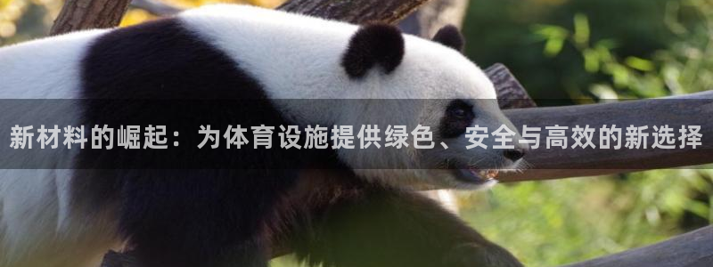 凯捷体育娱乐网站