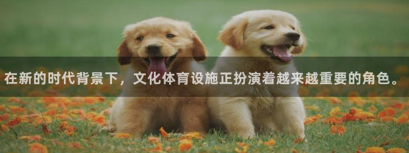 注册凯捷体育：在新的时代背景下，文化体育设施正扮演着