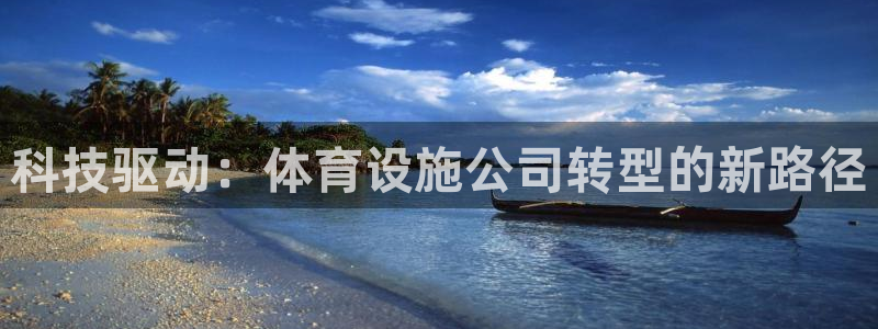 凯捷体育集团E.ON