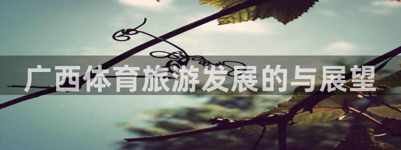 凯捷体育