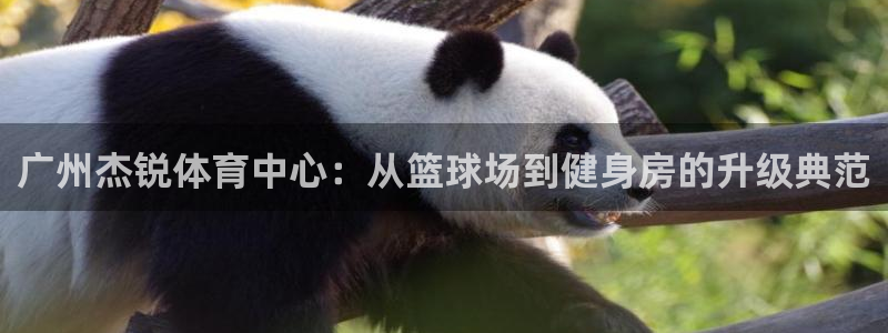 凯捷体育集团：广州杰锐体育中心：从篮球场到健身房的升级典范